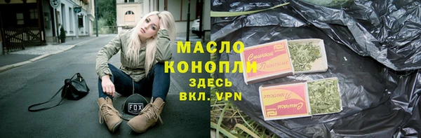 индика Аркадак